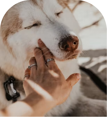 Huski