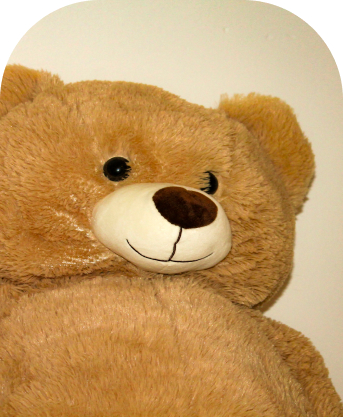 Knuffelbeer